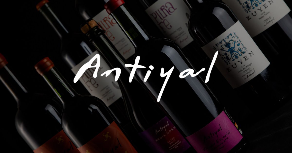 Antiyal 2017. 赤ワイン 750ml チリ産アンティアル ～Antiyal～2017（赤）